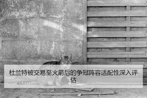 杜兰特被交易至火箭后的争冠阵容适配性深入评估