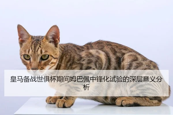 huang-ma-bei-zhan-shi-ju-bei-qi-jian-mu-ba-pei-zhong-feng-hua-shi-yan-de-shen-ceng-yi-yi-fen-xi-1-619.jpg