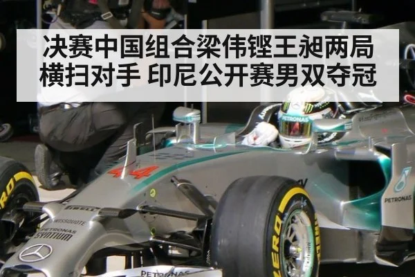 决赛中国组合梁伟铿王昶两局横扫对手 印尼公开赛男双夺冠